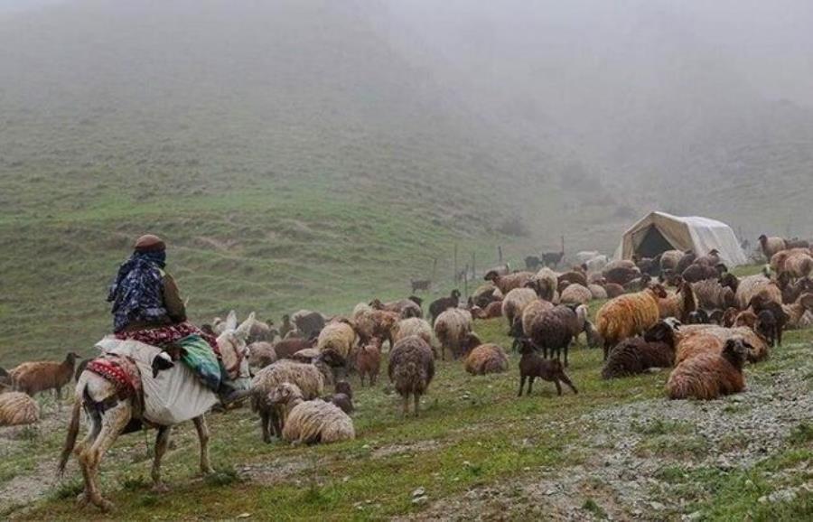 برگزاری جشن کوچ عشایر پس از ۵ سال وقفه